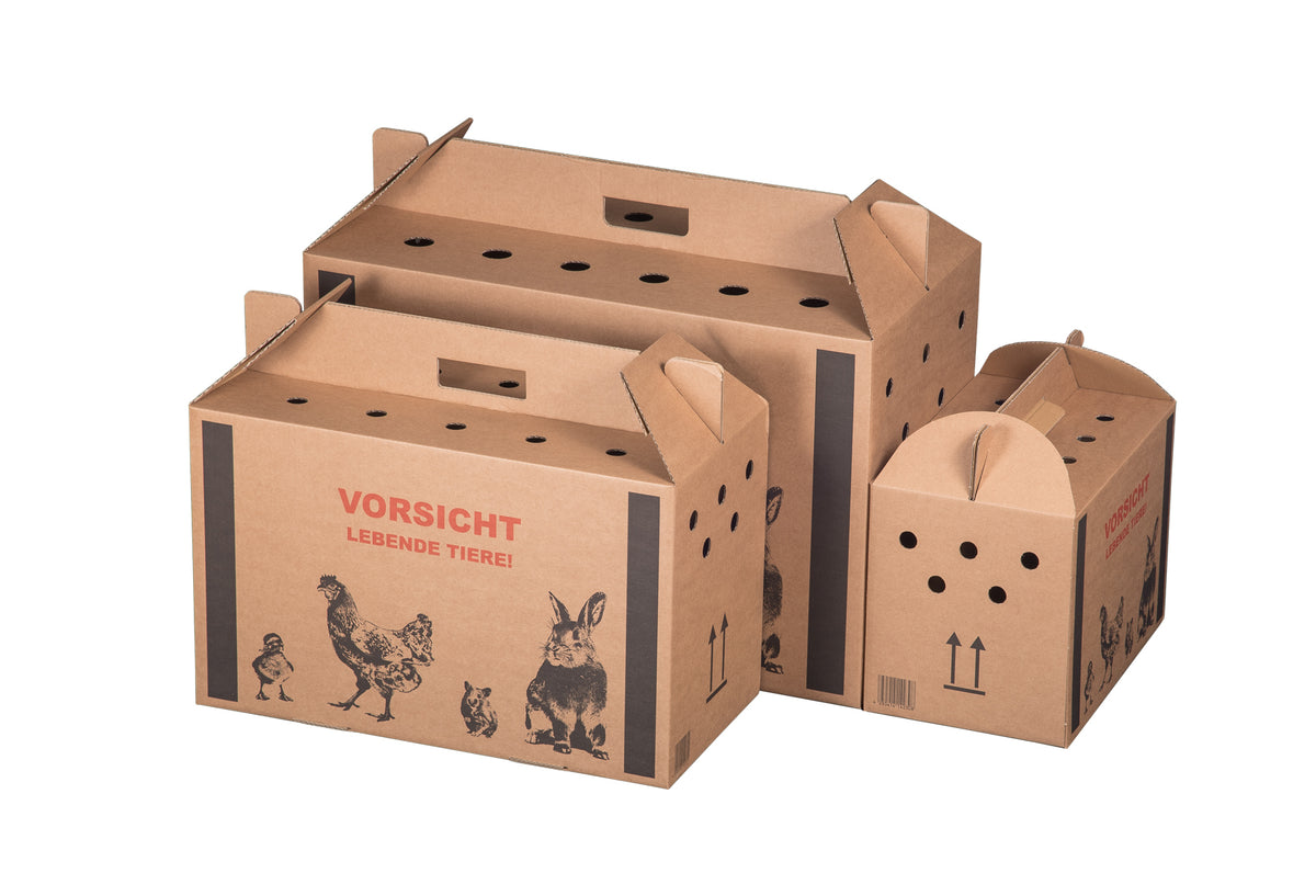 Beispielabbildung der Produktfamilie: Transportkarton „Lebende Tiere“, 320 × 197 × 230 mm