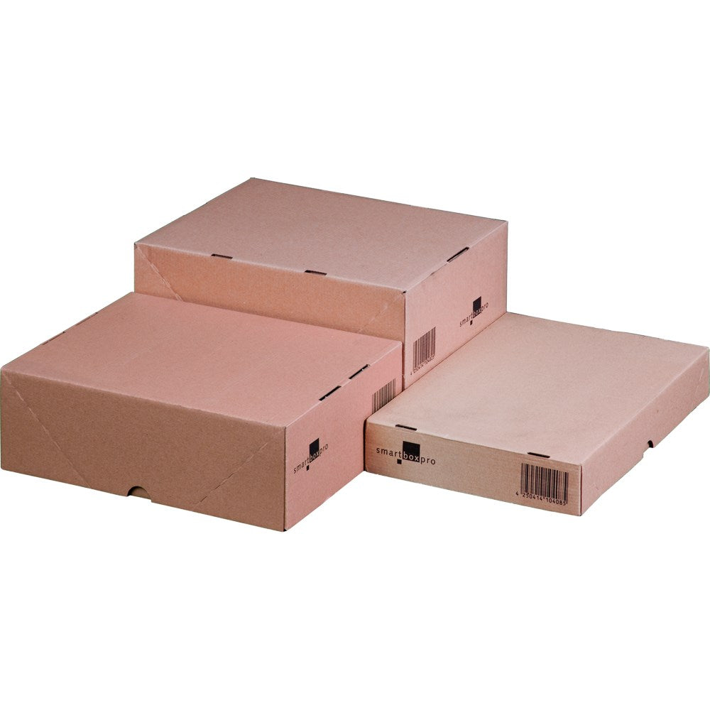 Beispielabbildung der Produktfamilie: Stülpdeckelkarton, 305 × 215 × 50 mm